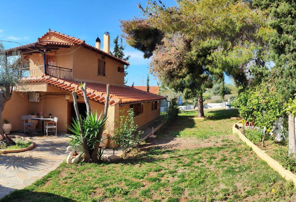 איוי תיאודורי Evas Guesthouse מראה חיצוני תמונה