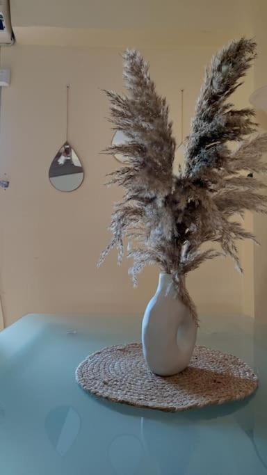 איוי תיאודורי Evas Guesthouse מראה חיצוני תמונה